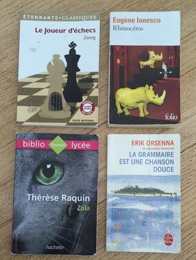 Set of 4 French Paperback Classics
